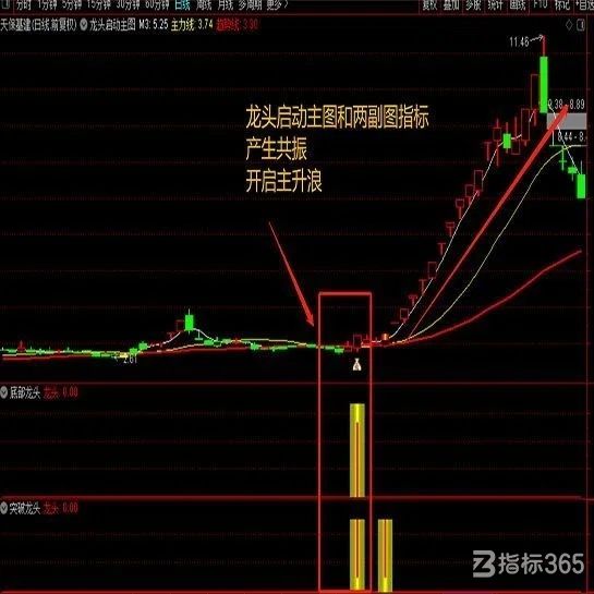 big-thumbnail-1682570371514-11edfe2b-9742-42fb-9b6a-bdd5242b91ea.jpg