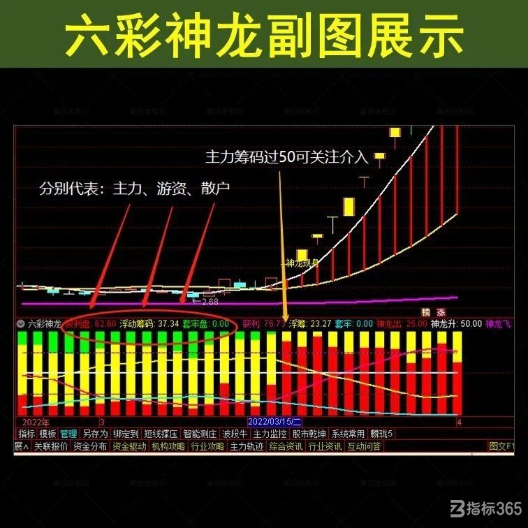 big-thumbnail-1682571132936-b021e2ff-d849-4d55-92f5-49a8f9f351a2.jpg